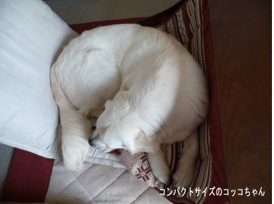 b0154393_12315881.jpg