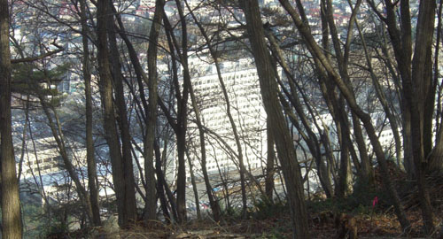 b0099994_18351553.jpg