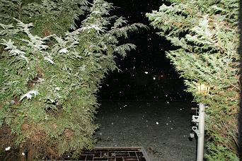 c0133498_458193.jpg