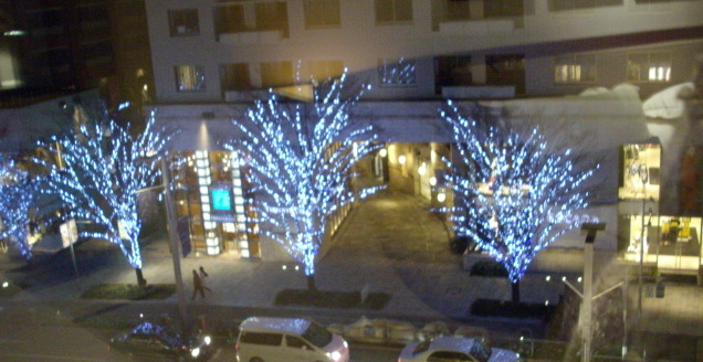 c0138198_1234054.jpg