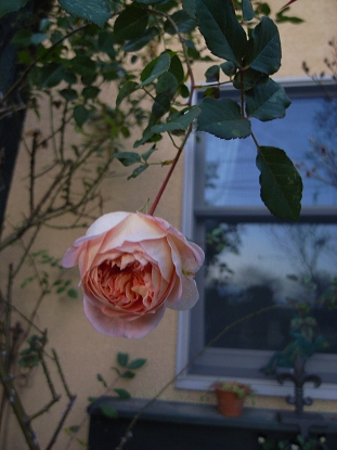 f0065604_2013344.jpg