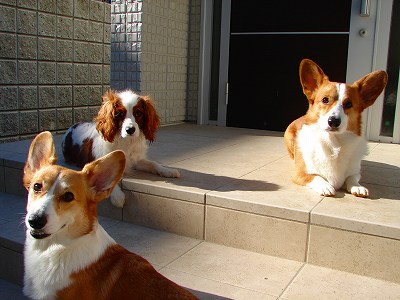 c0153410_160870.jpg