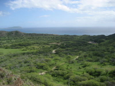 d0077811_20133344.jpg