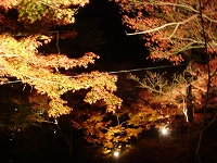 f0152412_223142.jpg