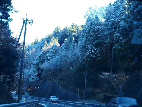 d0114517_15523131.jpg