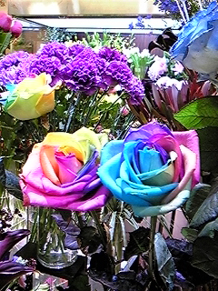 b0144519_16112890.jpg