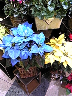 b0144519_16133867.jpg
