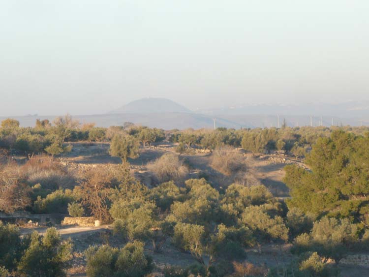 c0112823_136495.jpg