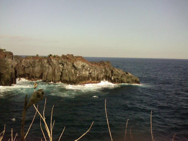 a0020929_20305795.jpg