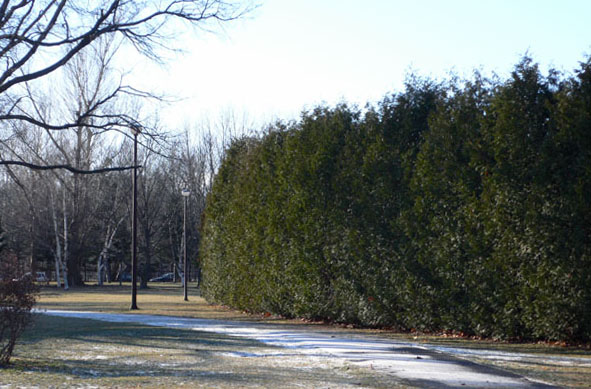 a0046429_22322567.jpg