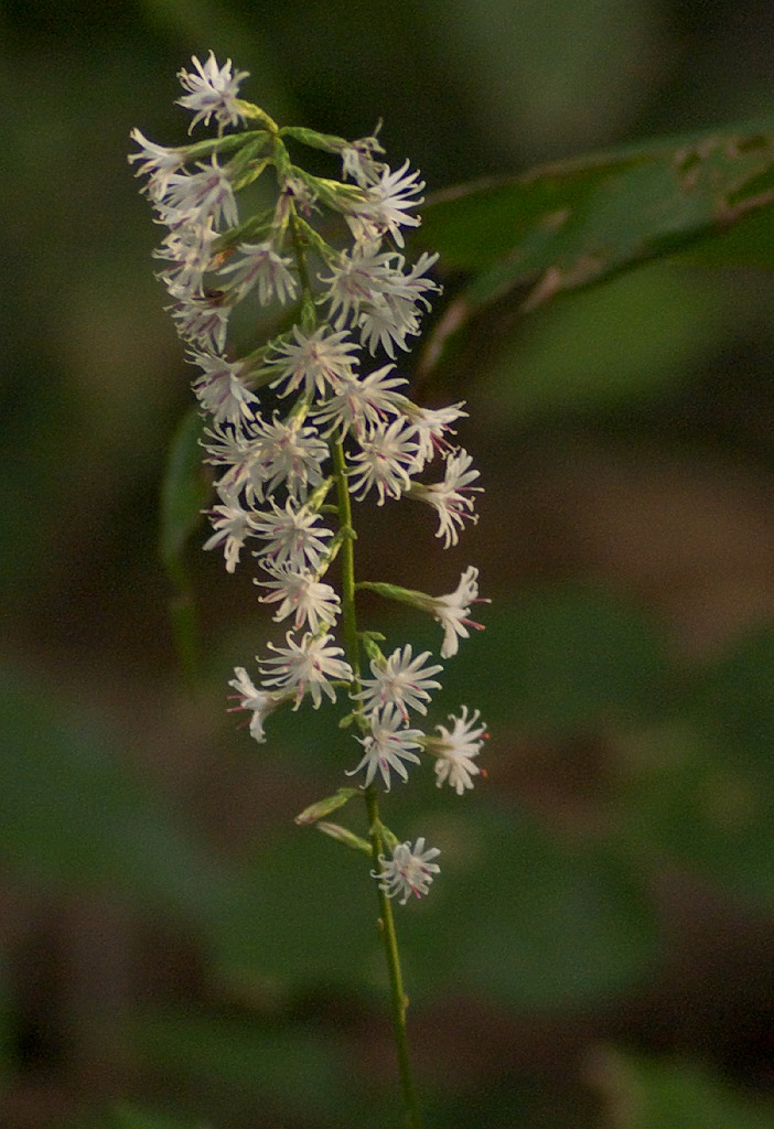 d0053930_6553356.jpg