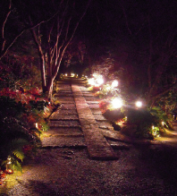 d0017632_17333725.jpg