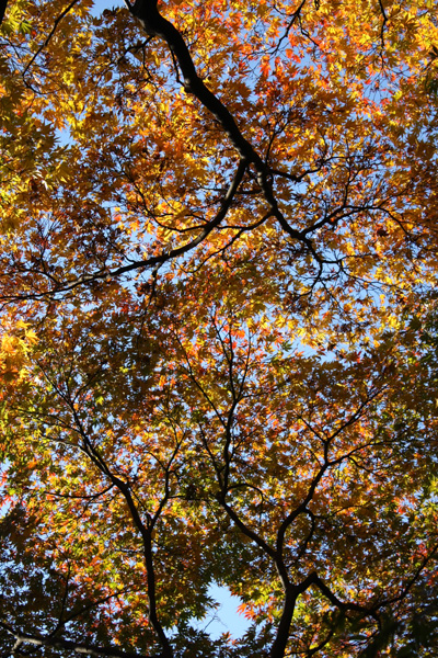 f0078132_15252651.jpg