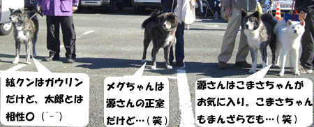 f0008935_13434712.gif