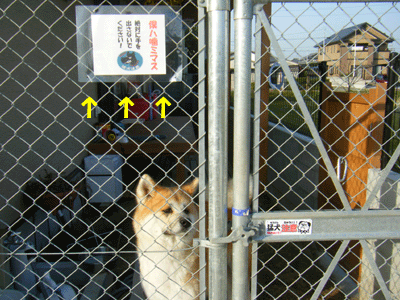 f0008935_2432452.gif