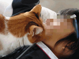 c0136736_1844799.gif