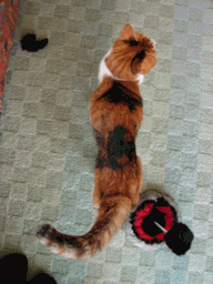 c0136736_18595794.gif