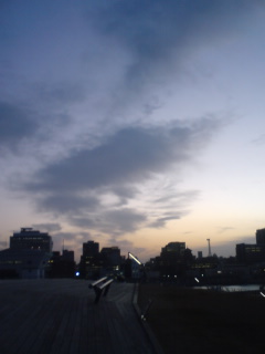 b0062337_0101399.jpg