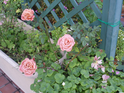 c0132438_22371084.jpg