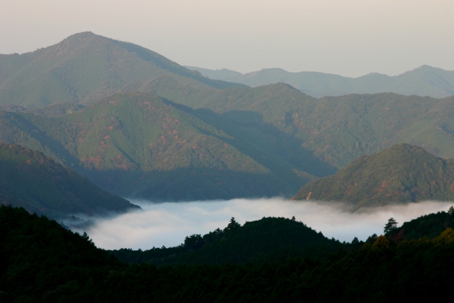 e0083238_21544555.jpg