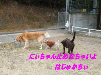 d0013645_01527.jpg