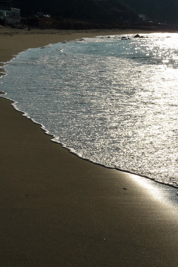 b0016049_1026325.jpg