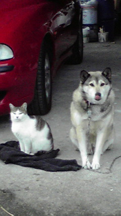 e0150849_0373173.jpg