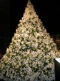 e0115754_1884391.jpg
