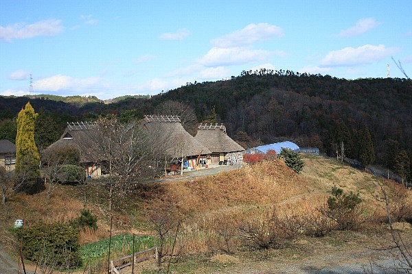 d0128465_7524756.jpg