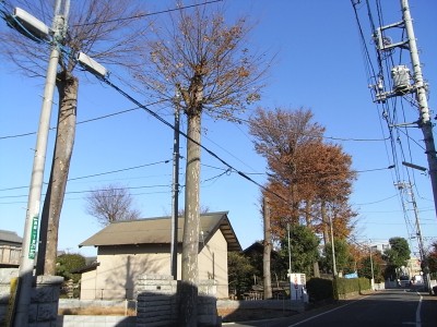c0112172_0411656.jpg
