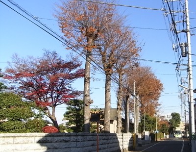 c0112172_041446.jpg