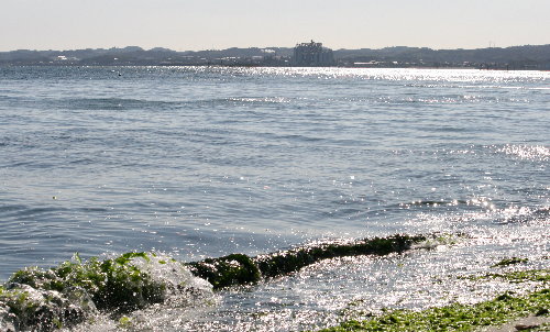 f0181173_19462649.jpg