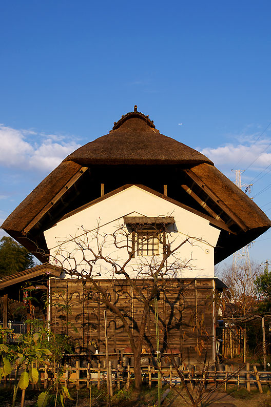 e0153076_05178.jpg