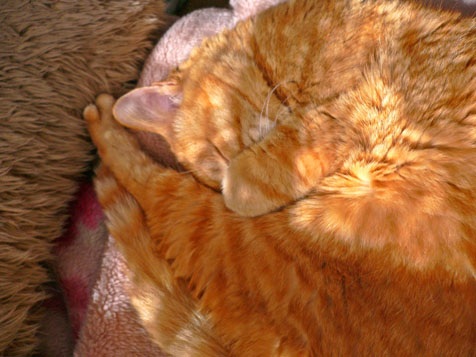e0112077_1222249.jpg