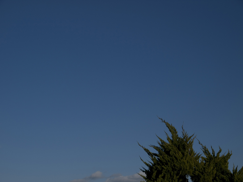 d0152981_10393753.jpg