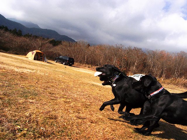 a0093592_1194299.jpg