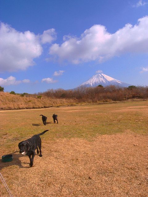a0093592_1251437.jpg