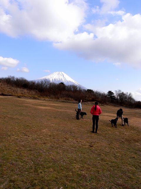 a0093592_1254761.jpg