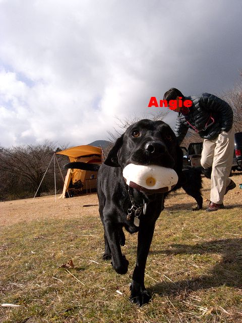 a0093592_1275558.jpg