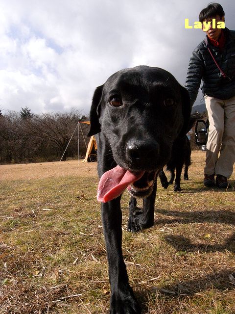 a0093592_1285323.jpg