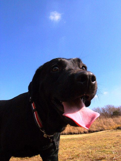 a0093592_14748.jpg