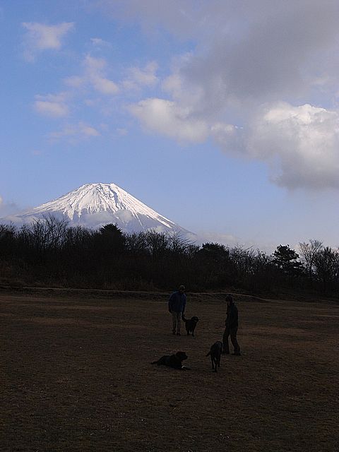 a0093592_1485222.jpg
