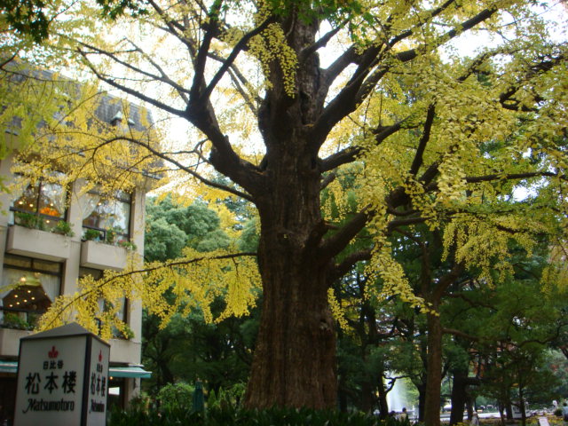 f0137694_86612.jpg