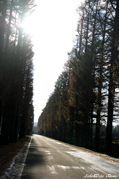 f0001895_1634944.jpg