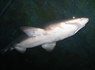 b0142203_4184910.jpg