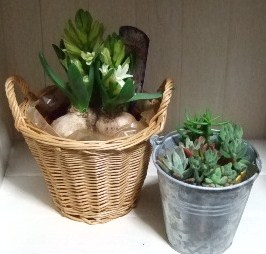 c0157103_23183142.jpg