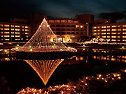 f0143504_2222573.jpg