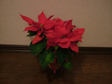 f0176504_0482014.jpg
