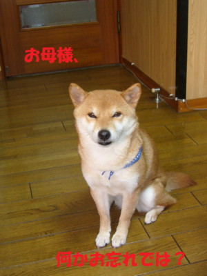 e0131506_0114442.jpg