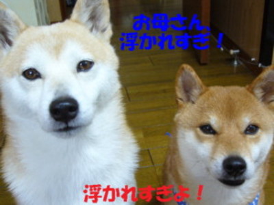 e0131506_211414.jpg